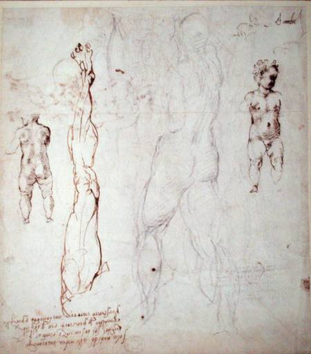 Study of the Christ Child and an Anatomical Drawing with Notes (black chalk & brown ink on paper) (v from Michelangelo (Buonarroti)