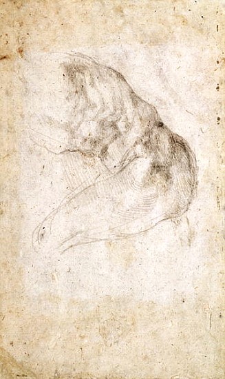 Study for The Creation of Adam(verso) (for recto see 191766) from Michelangelo (Buonarroti)