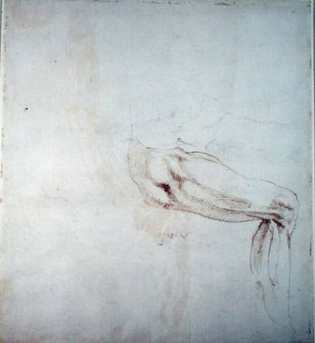Study of a Leg with Notes  (recto) from Michelangelo (Buonarroti)