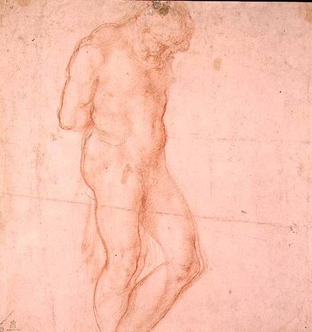 Study of a Nude (red chalk) Inv.1896/7/10/1 Verso (W.64) from Michelangelo (Buonarroti)