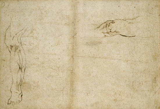 Study of a human leg, 16th century from Michelangelo (Buonarroti)