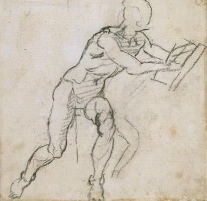 Study of a seated male nude, c.1511 (black chalk on paper) from Michelangelo (Buonarroti)