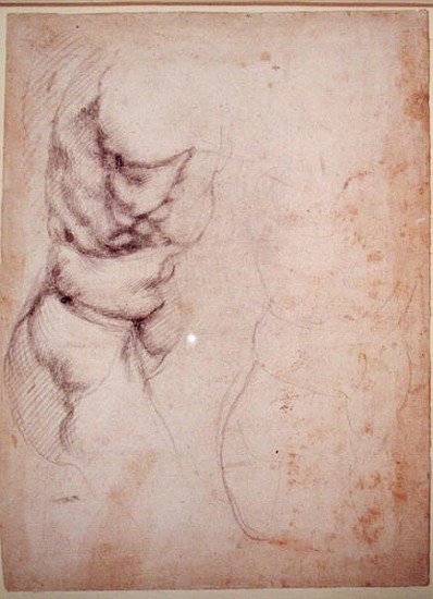 Study of torso and buttock from Michelangelo (Buonarroti)