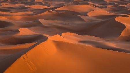 Dünen der Wüste