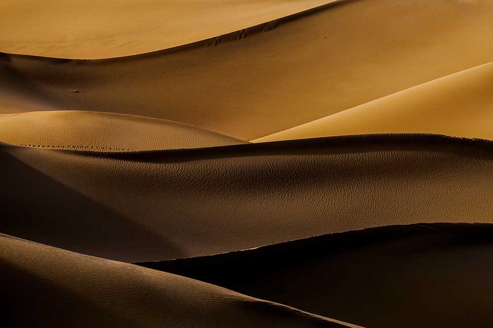 Goldene Wellen from Mohammad Shefaa