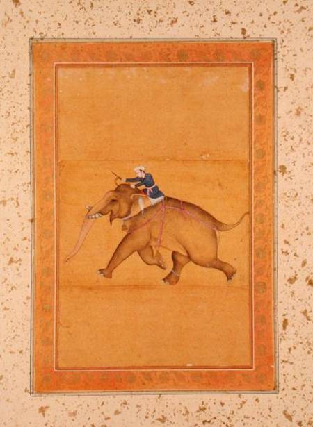 A Mahout riding an Elephant, from the Large Clive Album from Mughal School