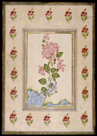 Bird And Flower Study, Mughal India from 