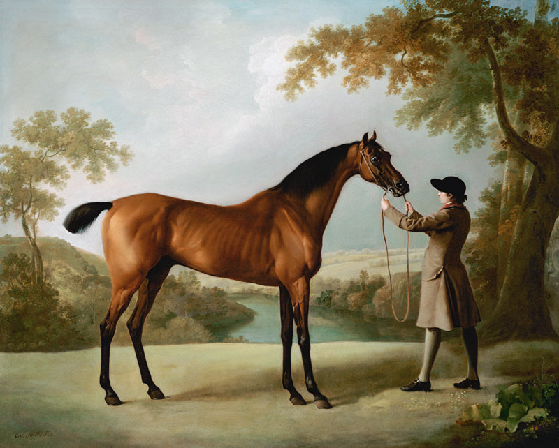 Tristram Shandy, A Bay Racehorse Held By A Groom In An Extensive Landscape from 