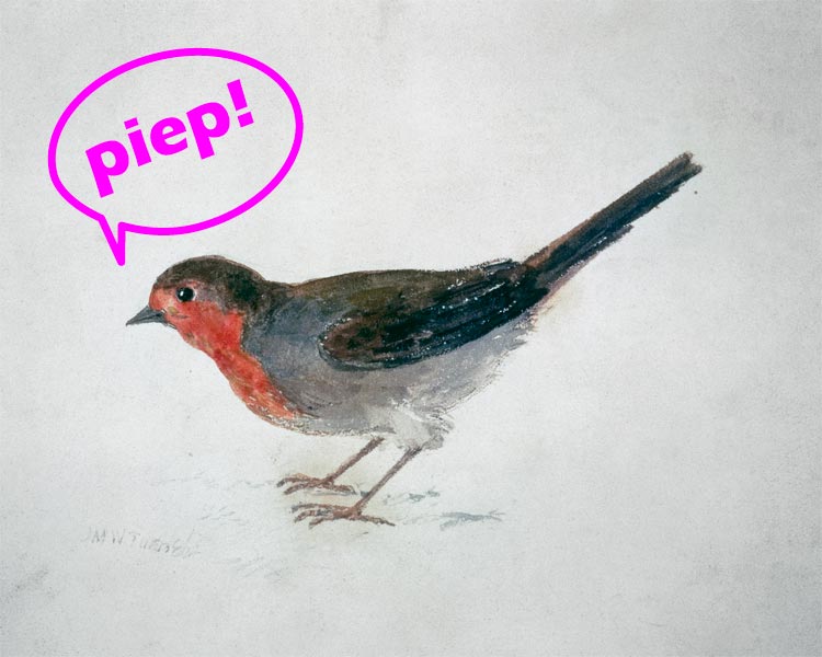 Robin, from The Farnley Book of Birds  - "piep!" from 