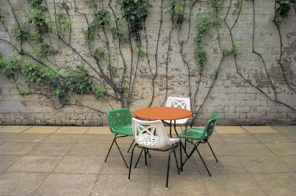 Table and bushy creeper on wall in background (photo)  from 