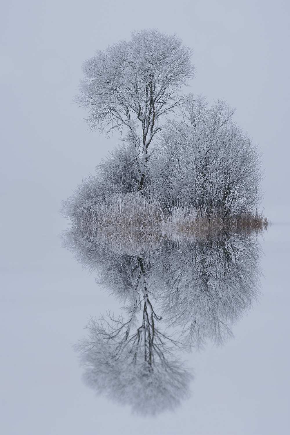 winter stillness from Norbert Maier