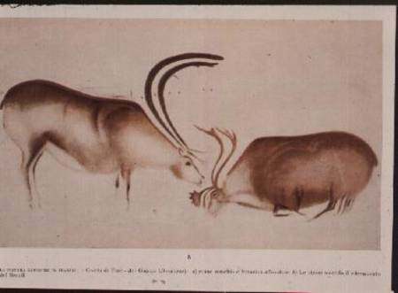 Male and female deer, Magdalenian school from Paleolithic