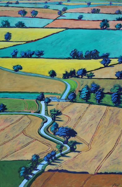 Lane in summer from Paul Powis
