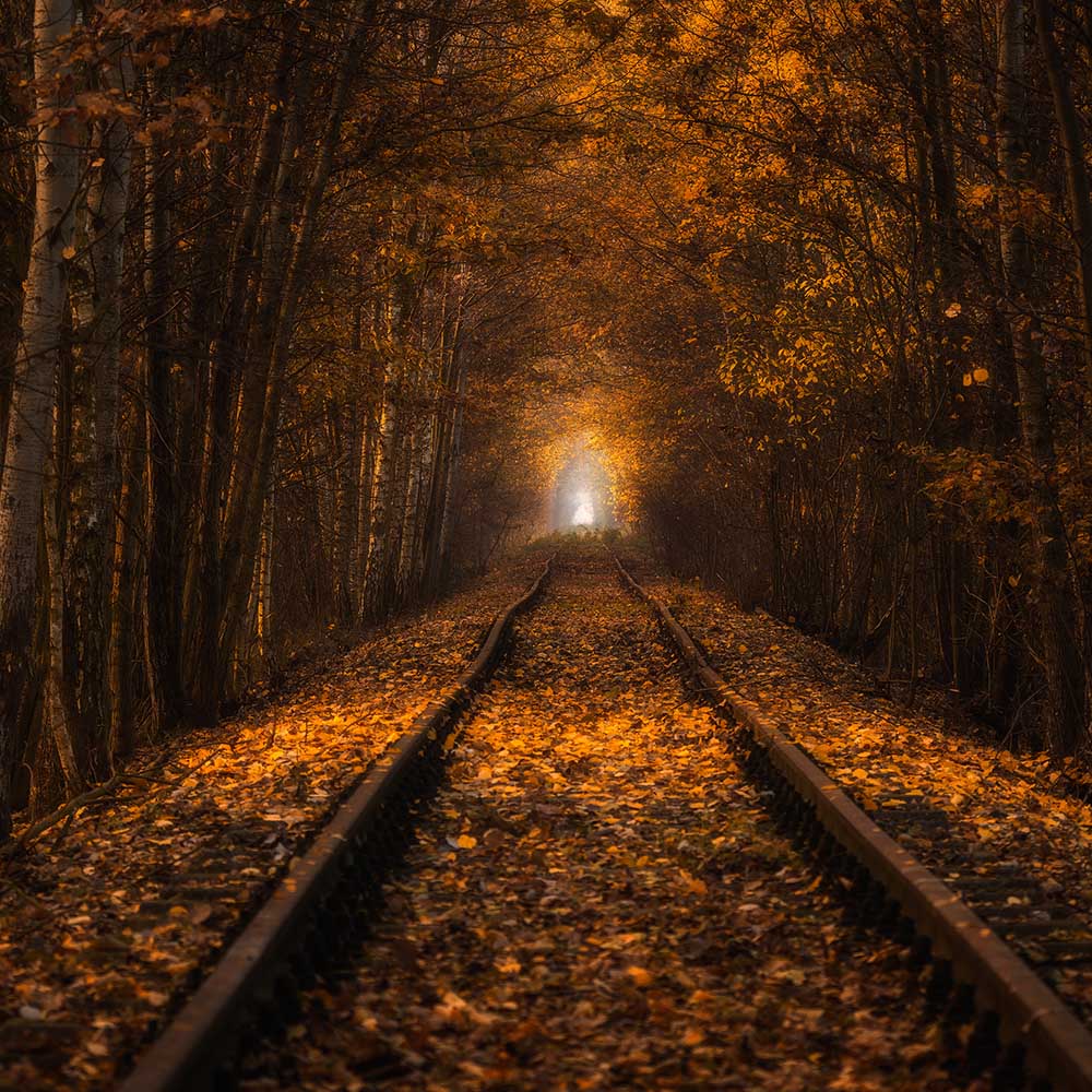 Herbsttunnel from Pawel Uchorczak