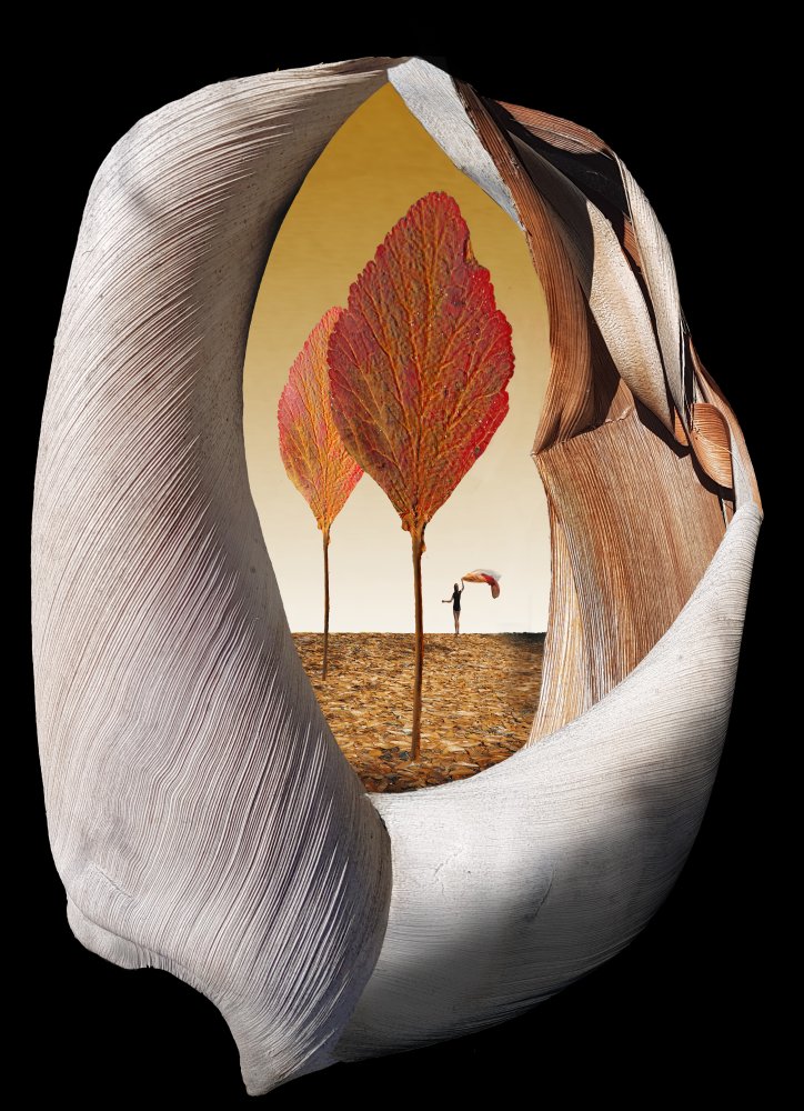 Herbstbäume from Peter Hammer