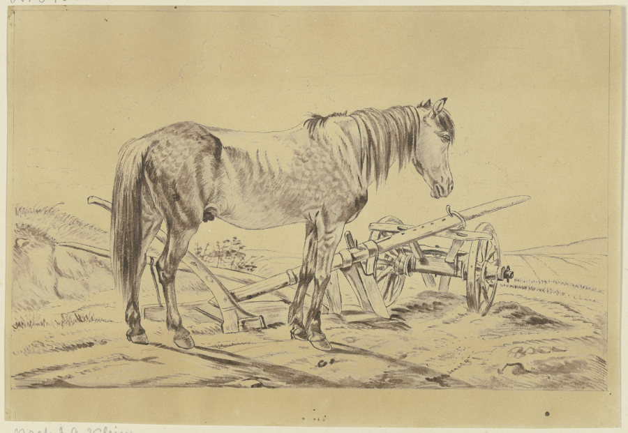 Pferd mit Pflug from Philipp Stricker