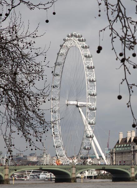 London Eye

2015.jpg from Andrea Piccinini
