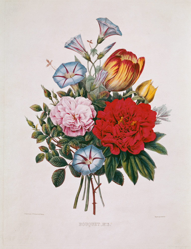 Bouquet N°3 mit Tulpe, Nelke, Winden und Pfingstrose from Pierre Joseph Redouté