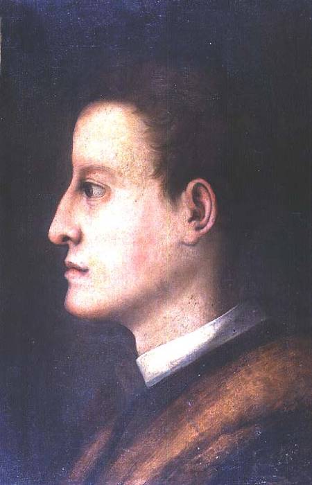 Cosimo de' Medici I (1519-74): as a young man from Pontormo,Jacopo Carucci da