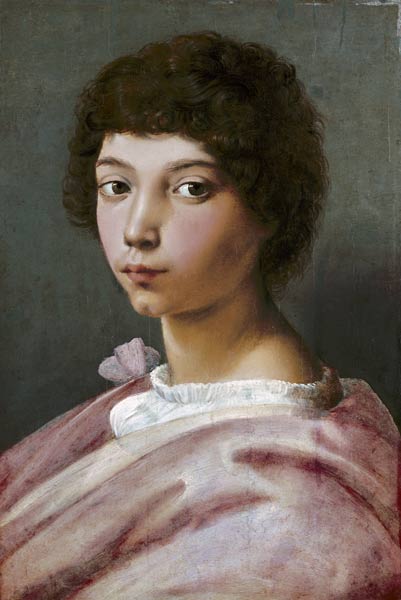 Porträt eines jungen Mannes from (Raffael) Raffaello Santi