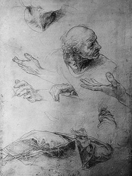 Studies for the Figure of Bramante (1444-1515) from (Raffael) Raffaello Santi