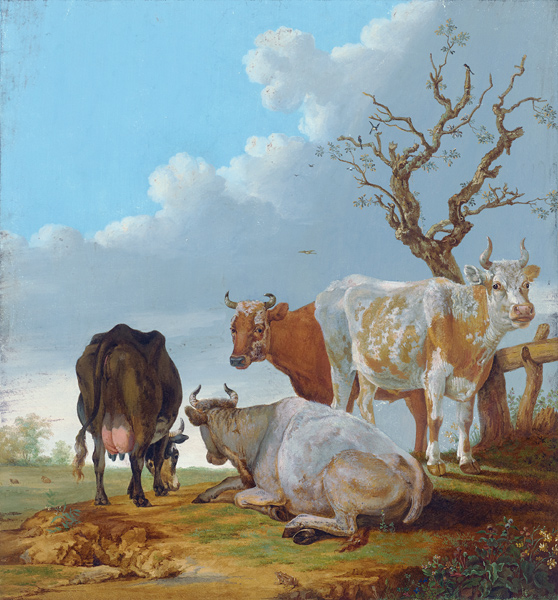 Vier Kühe auf der Weide, vorn sitzt ein Frosch from Regnu