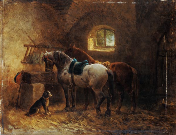 Pferde im Stall from Reinhold Braun