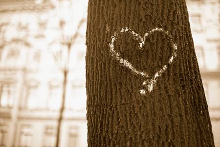 Gezeichnetes Herz auf einem Baumstamm