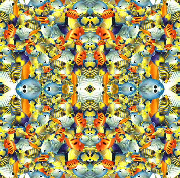 Kaleidoscope Fish Tile from Robyn Parker