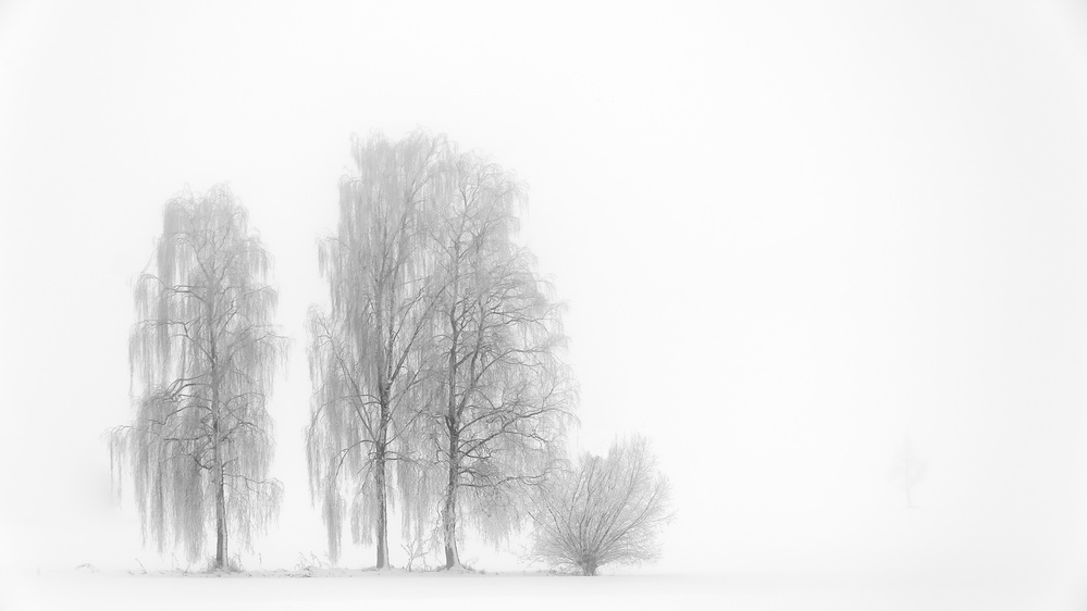 Winterstimmung from Roland Bucheli