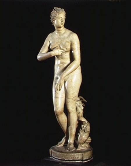 The Medici Venus from Roman