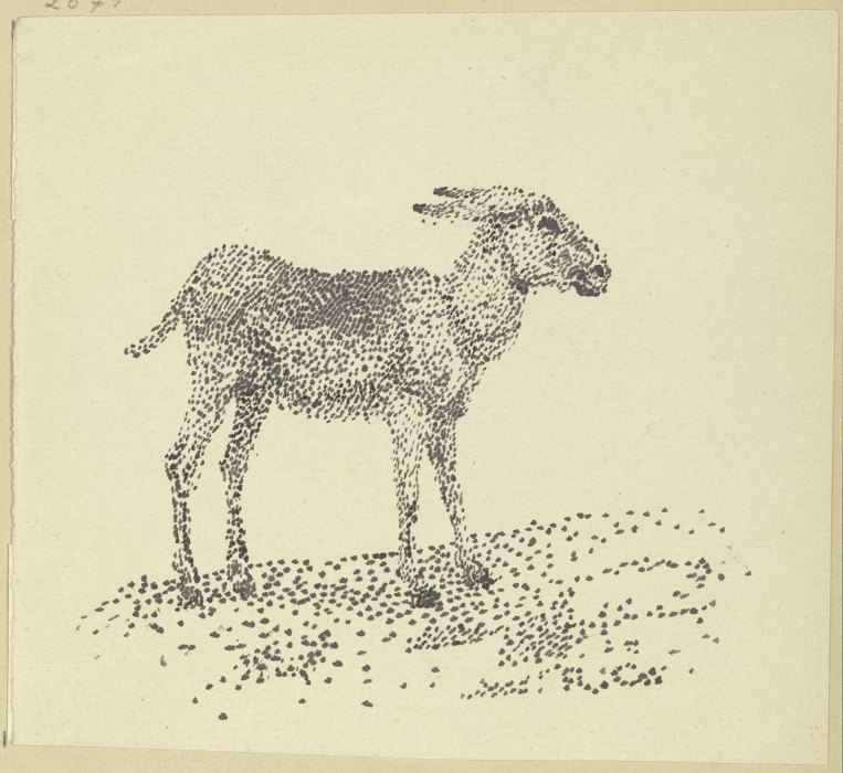 Esel from Rudolf Gudden