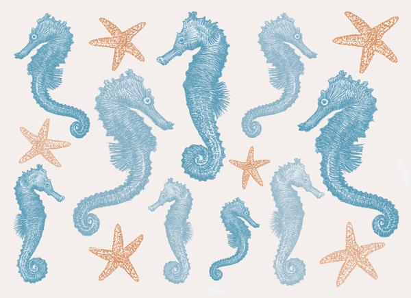 Seahorses and Starfish from Sarah Hough