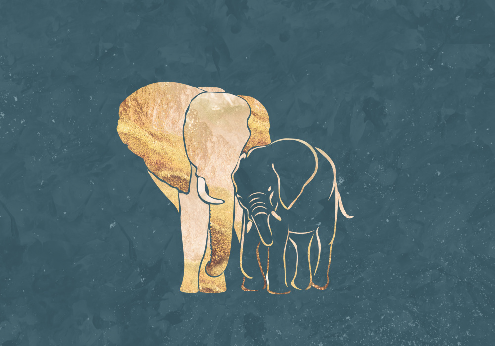 Goldene Elefanten-Linienkunst-Silhouetten 2 from Sarah Manovski