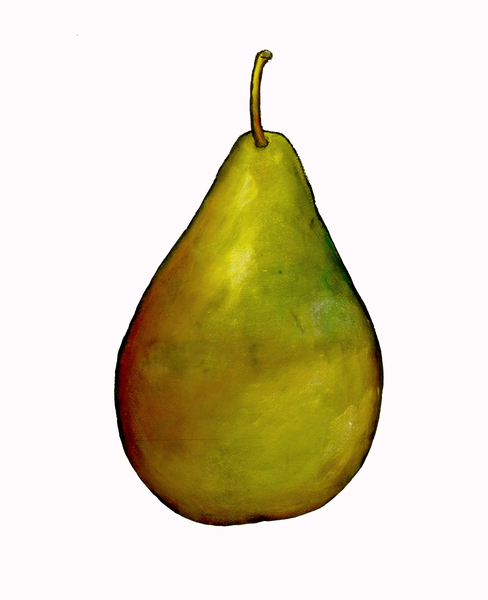 pear from Sarah Thompson-Engels