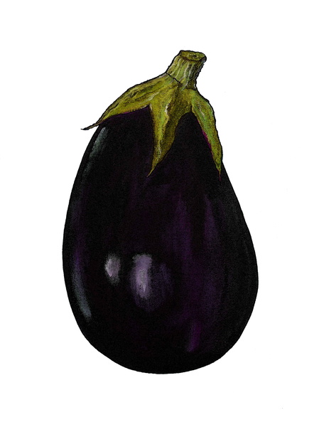 Purple aubergine from Sarah Thompson-Engels