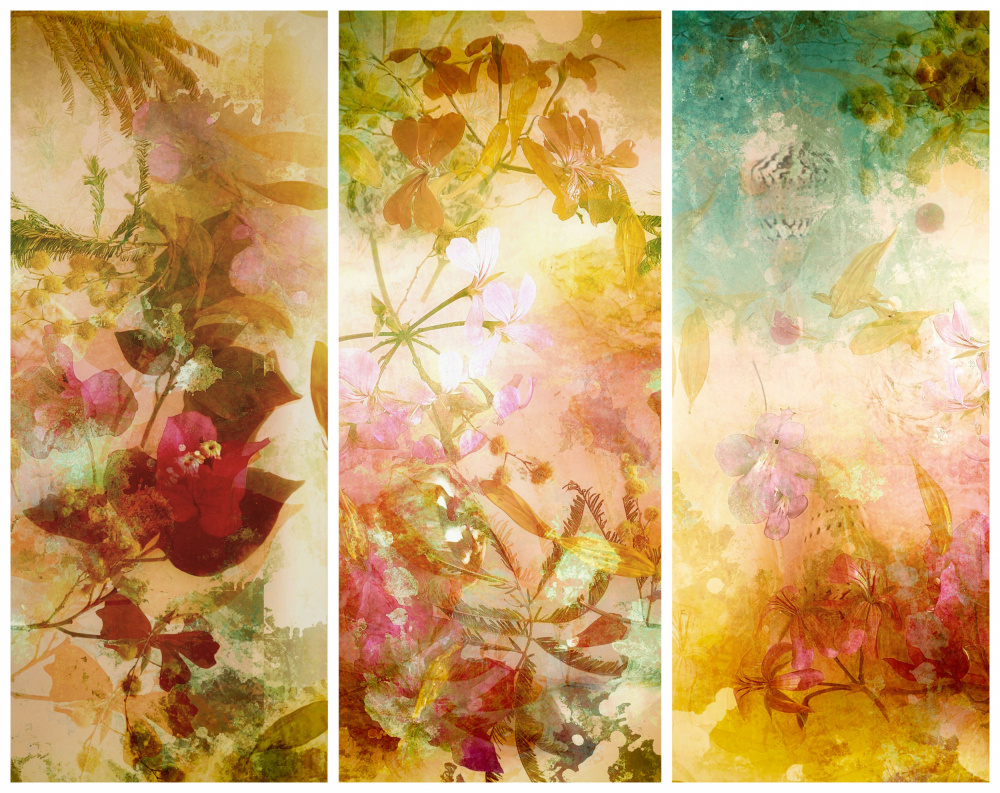 Blumenabstraktionen mit Mimosen,Muscheln und Bougainvillea,die im Wasser schwimmen. Trilogie. from Saskia Dingemans