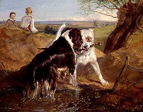 Zwei Hunde im Kampf um ein Stöckchen from Sir Edwin Henry Landseer