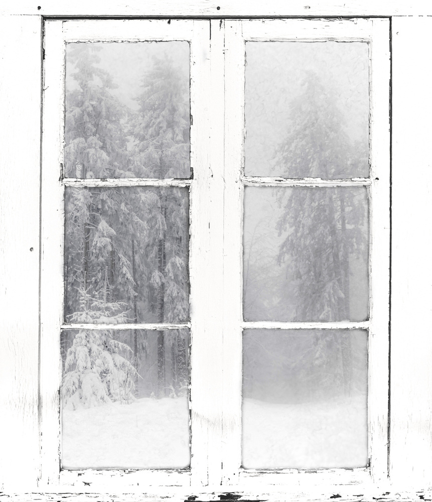 Winter from Stephanie Kleimann