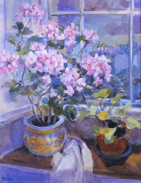 Pink geranium on window seat from Sue Wales