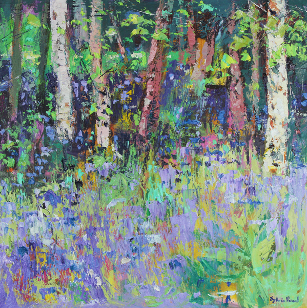 Bluebell Time from Sylvia  Paul