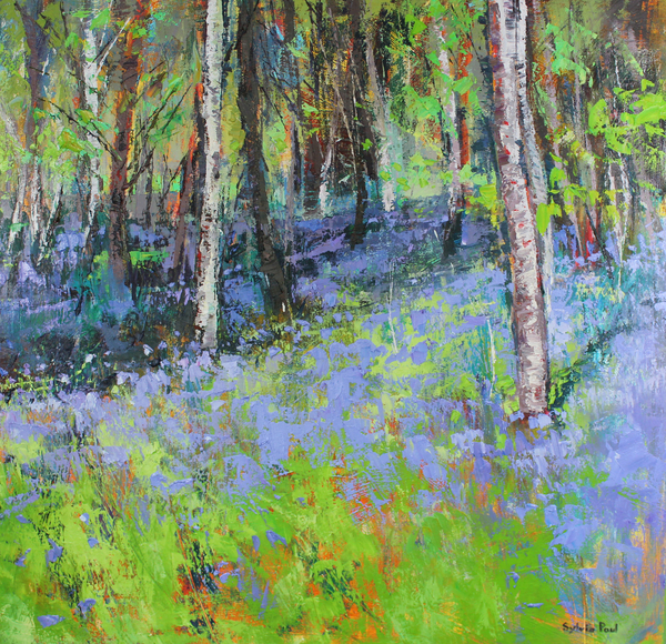 Bluebells and Birches from Sylvia  Paul
