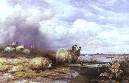 A Landscape with Sheep and boat from Thomas Francis Wainewright