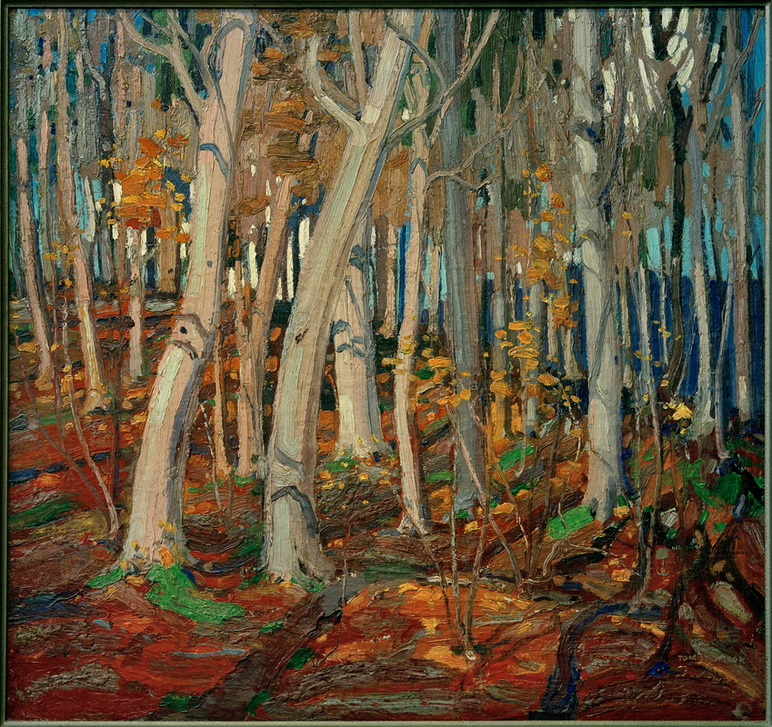 Maple Woods, Bare Trunks, 1916 from Thomas John Thomson