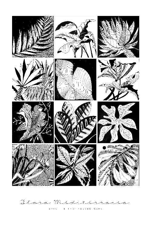 Twelve Leaves from Brigitte Thonhauser-Merk