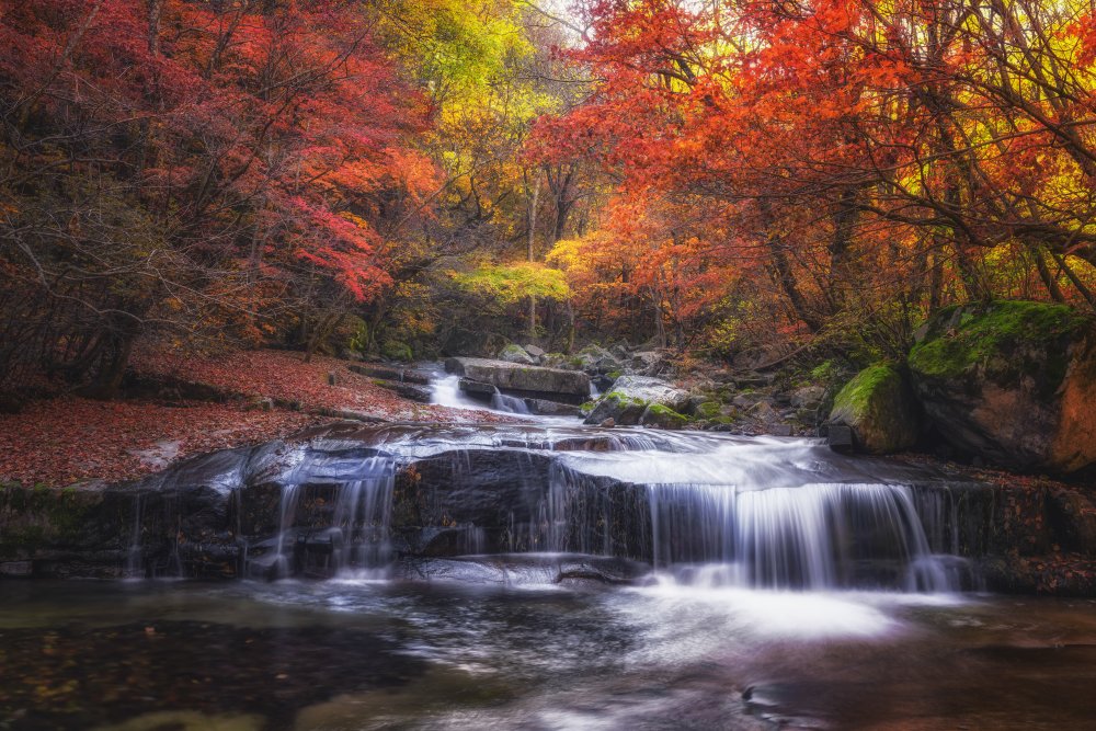 Herbst Herbst from Tiger Seo