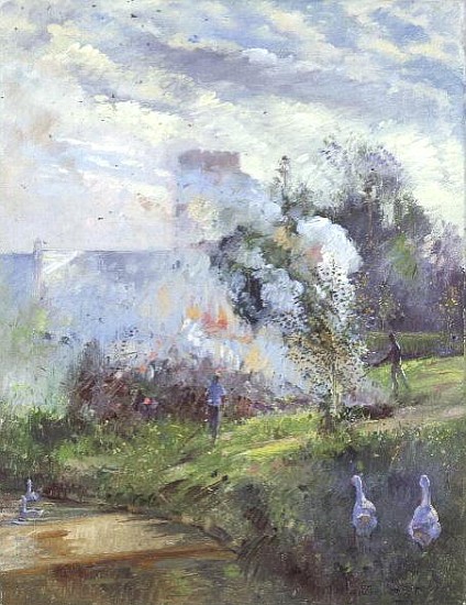 The Meadow Bonfire  from Timothy  Easton