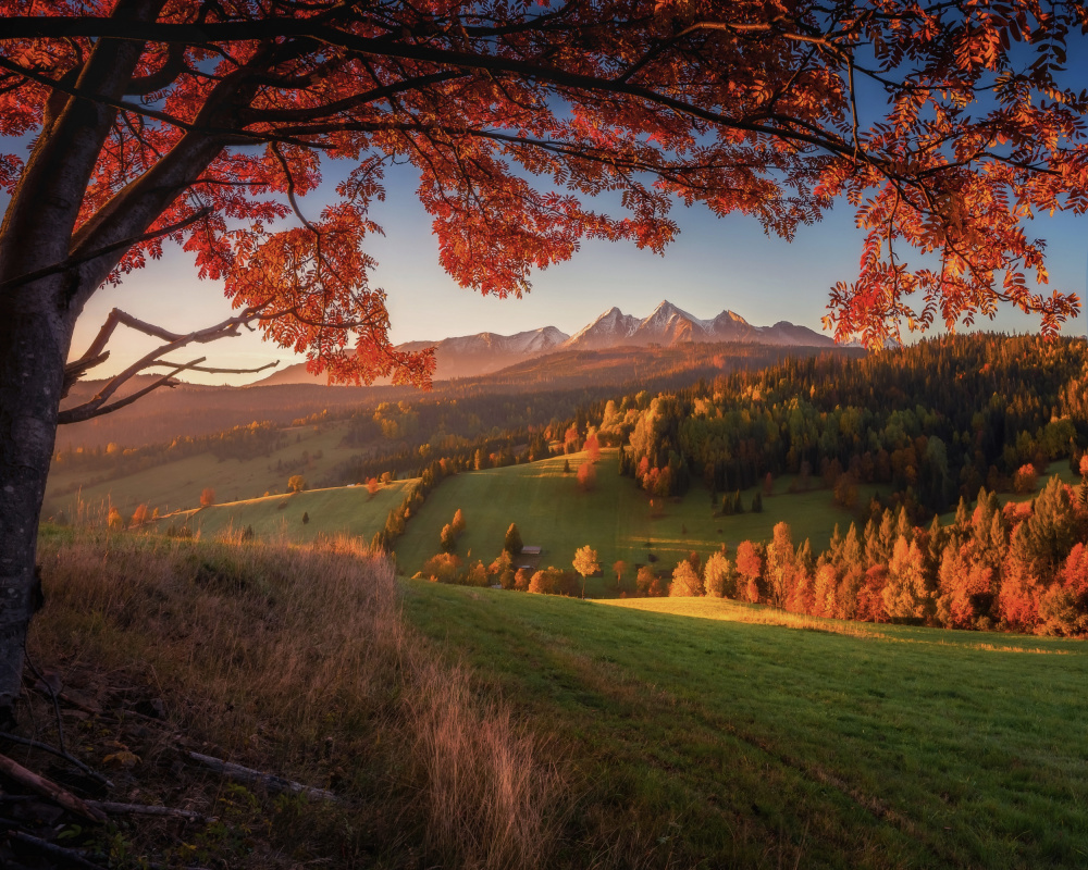Herbst unter der Tatra from TomaszOryszczakPhotography