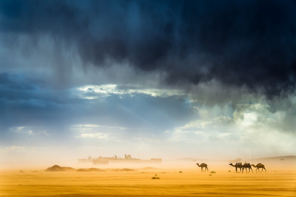 Sturm,Wind,Regen,Sand,Kamele und unglaubliches Licht in der Wüste from Tristan Shu
