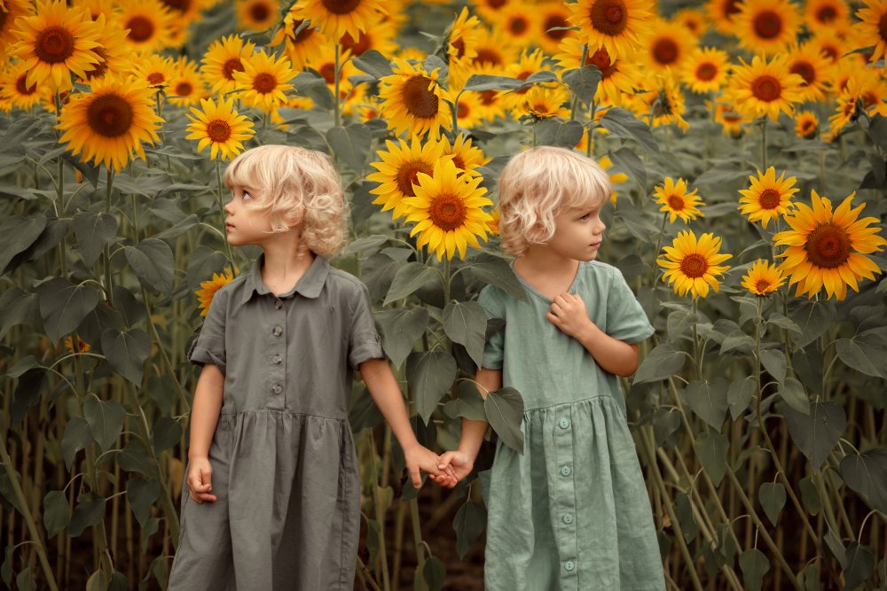Ein Spaziergang in den Sonnenblumen from Valentina Rabtsevich